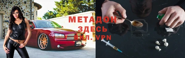 индика Инта