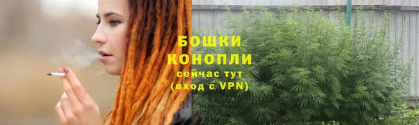 не бодяженный Заводоуковск