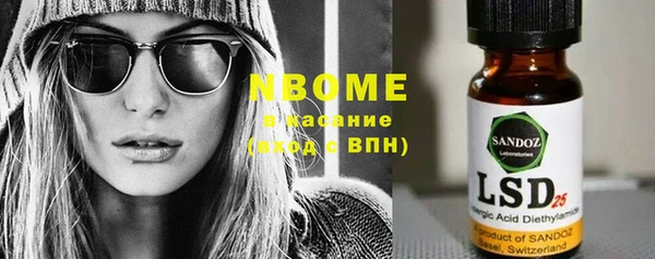 индика Инта